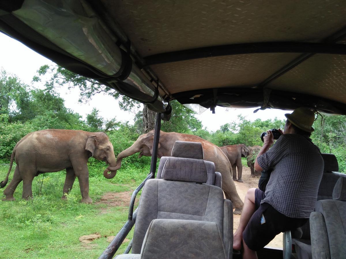 Brookline Safari Resort Удавалаве Екстер'єр фото