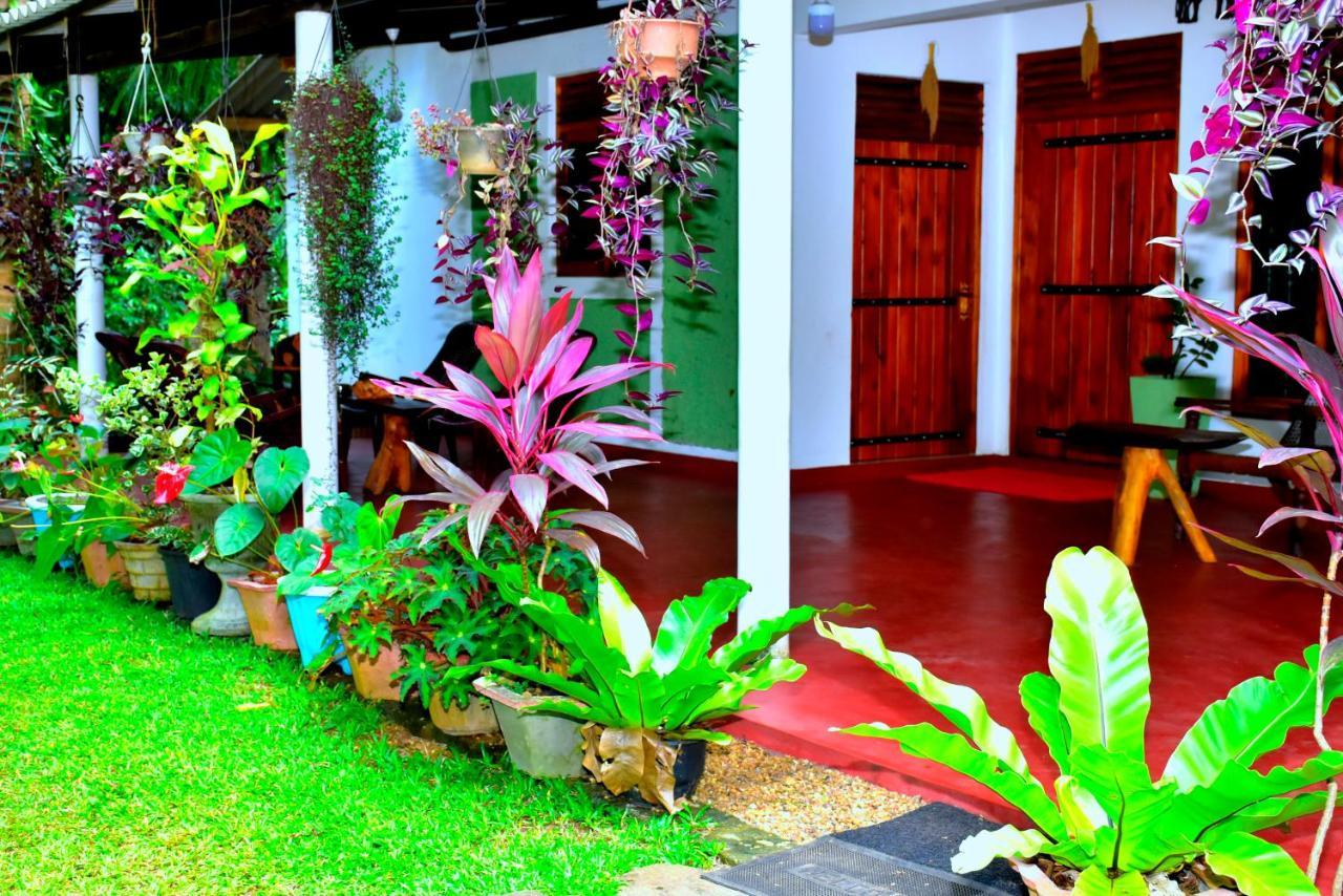 Brookline Safari Resort Удавалаве Екстер'єр фото