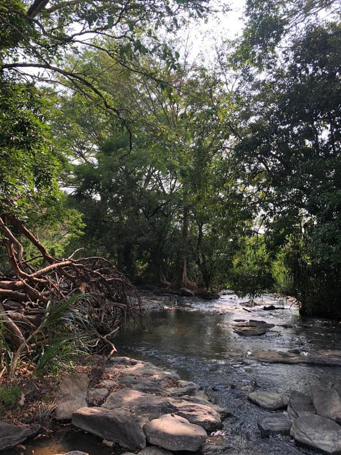 Brookline Safari Resort Удавалаве Екстер'єр фото